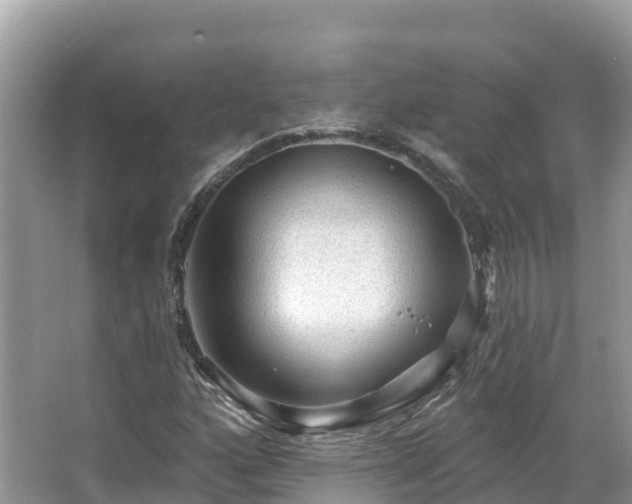 X0000066971160200603311442