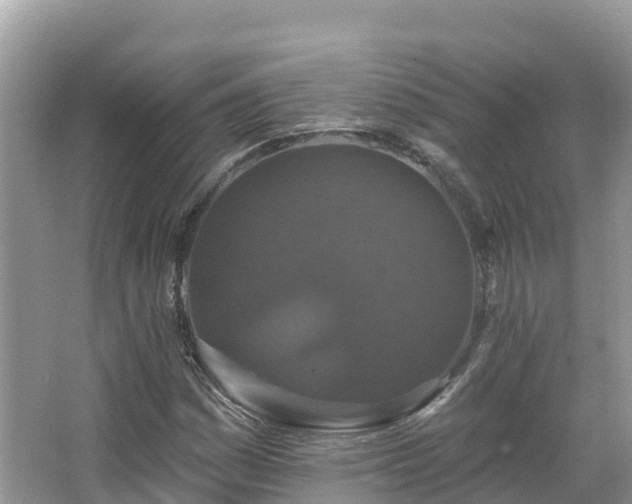 X0000066971161200603311441