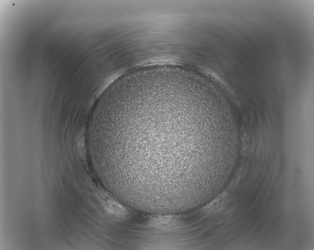 X0000066971162200603311441