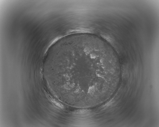 X0000066971163200603311441