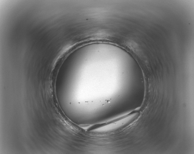 X0000066971164200603311441