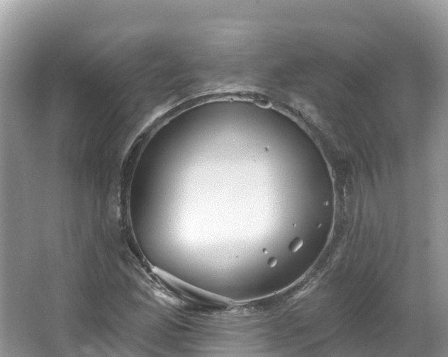 X0000066971165200603311441