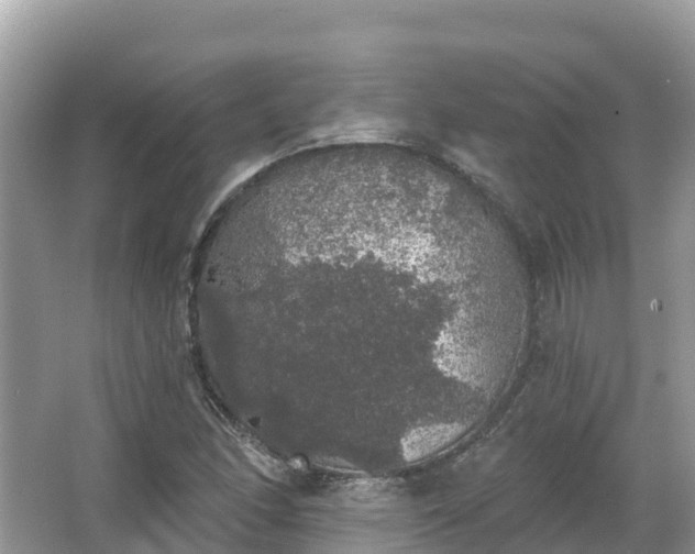 X0000066971166200603311441