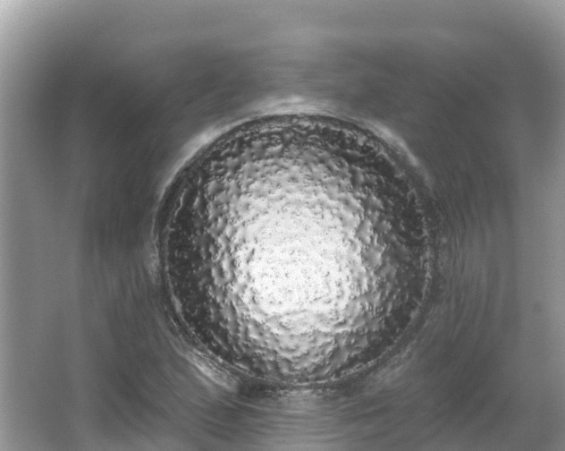 X0000066971167200603311441