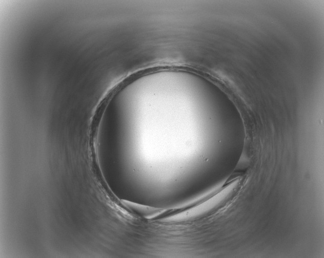 X0000066971168200603311441