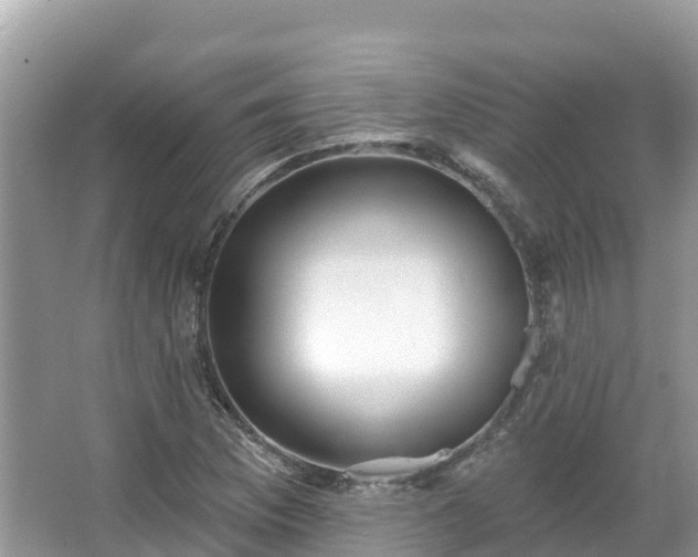 X0000066971169200603311441