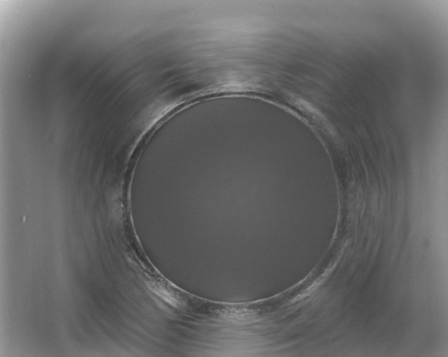 X0000066971170200603311441