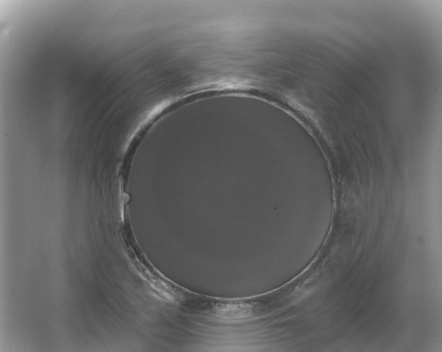 X0000066971171200603311441