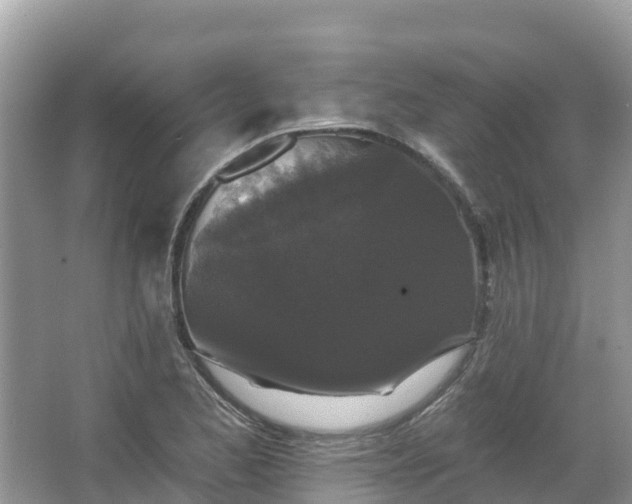 X0000066971173200603311441