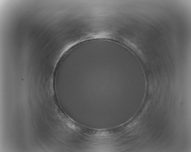 X0000066971174200603311441