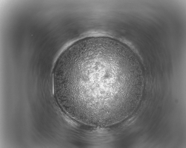 X0000066971175200603311441