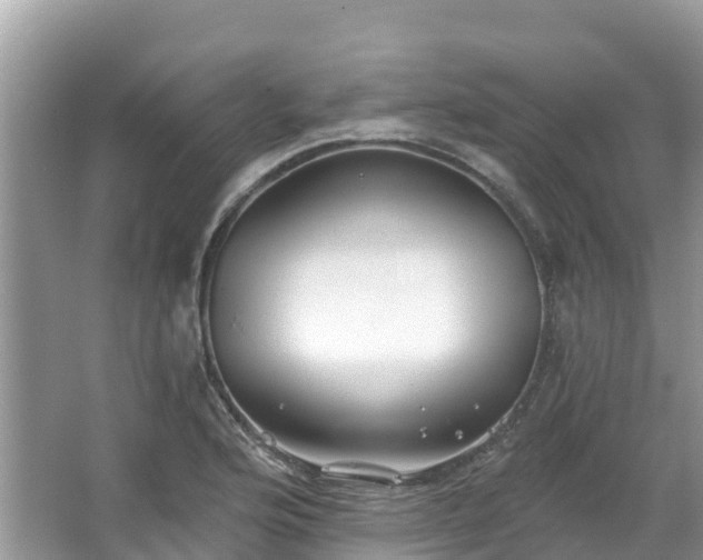 X0000066971176200603311441