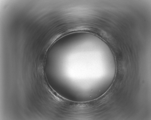 X0000066971177200603311441