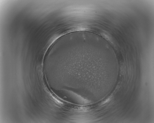 X0000066971178200603311441