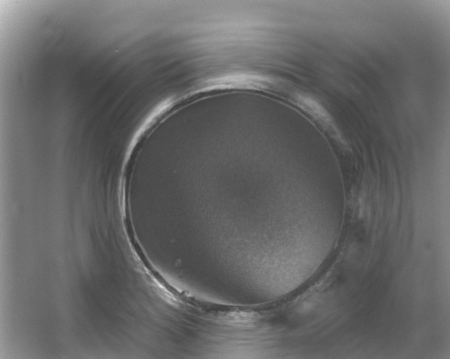 X0000066971180200603311441