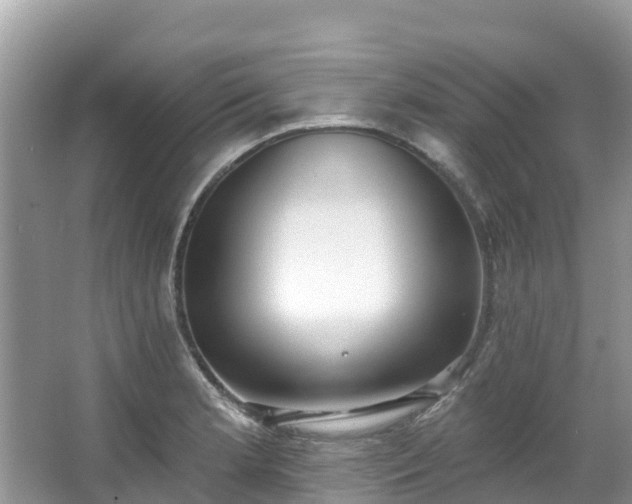 X0000066971181200603311441