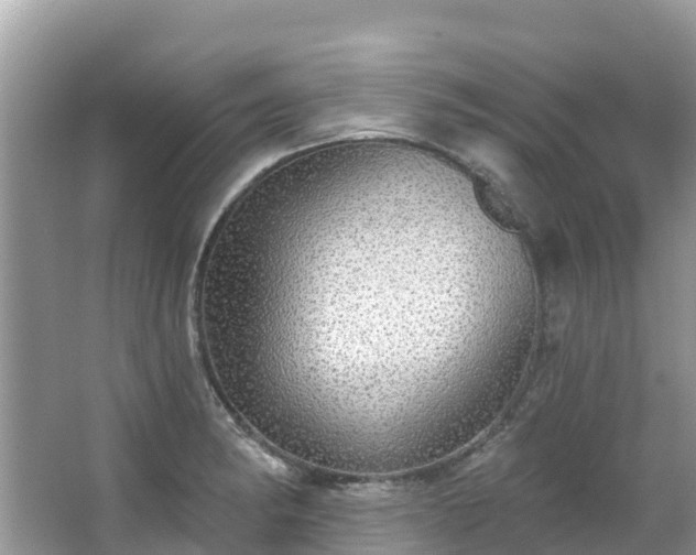 X0000066971182200603311441