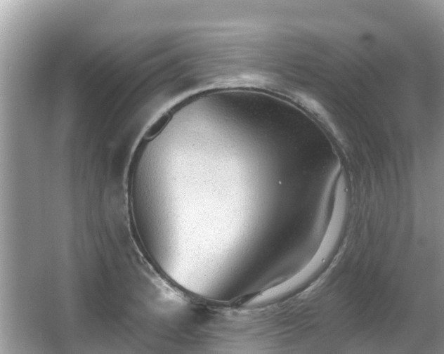 X0000066971184200603311441