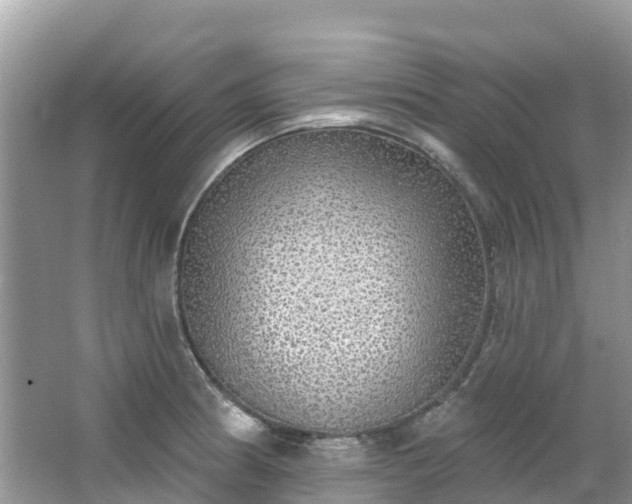 X0000066971186200603311441