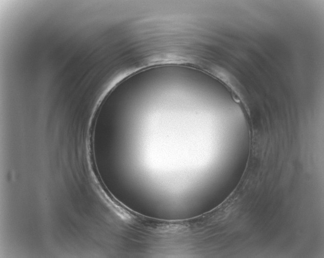 X0000066971187200603311441