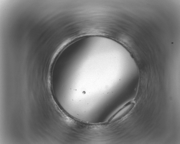 X0000066971188200603311441