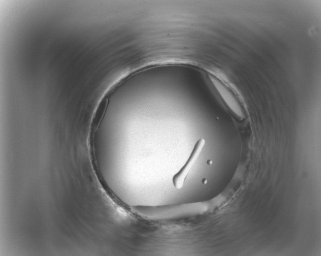 X0000066971189200603311441