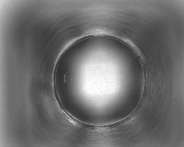 X0000066971191200603311441