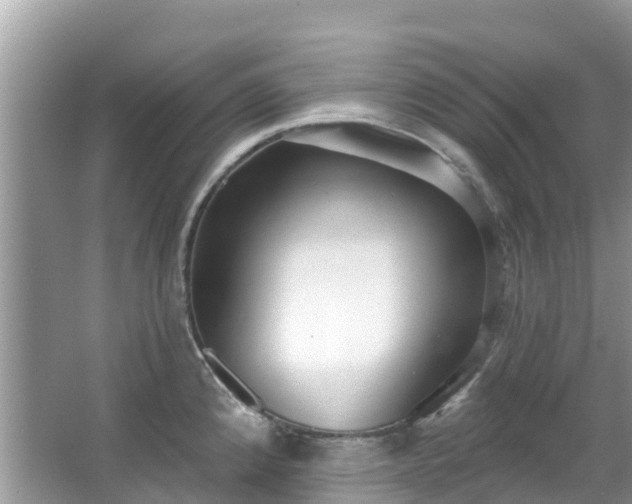 X0000066971192200603311441