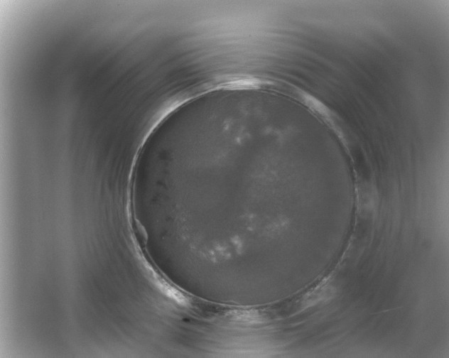 X0000066971194200603311441