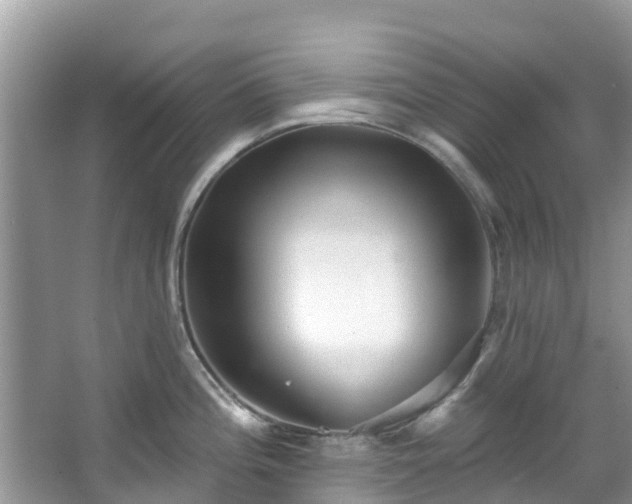 X0000066971196200603311441