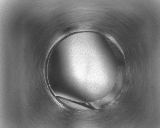 X0000066971197200603311441