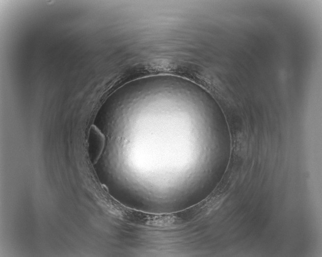 X0000066971201200603311440