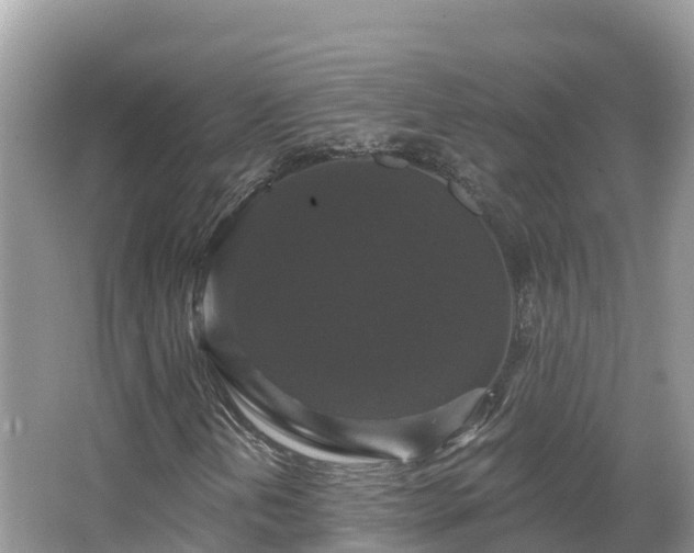 X0000066971202200603311440