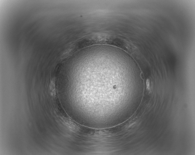 X0000066971203200603311440