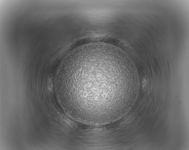 X0000066971204200603311440