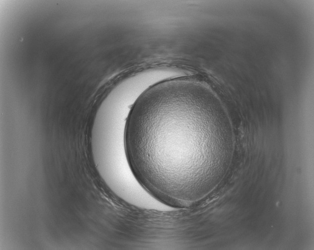 X0000066971206200603311440