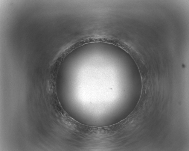 X0000066971207200603311440