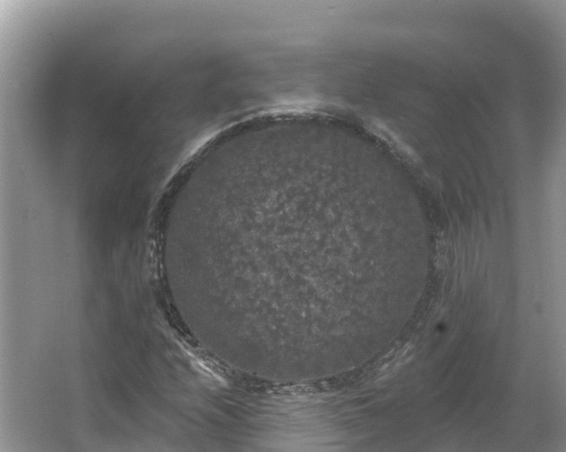 X0000066971208200603311440