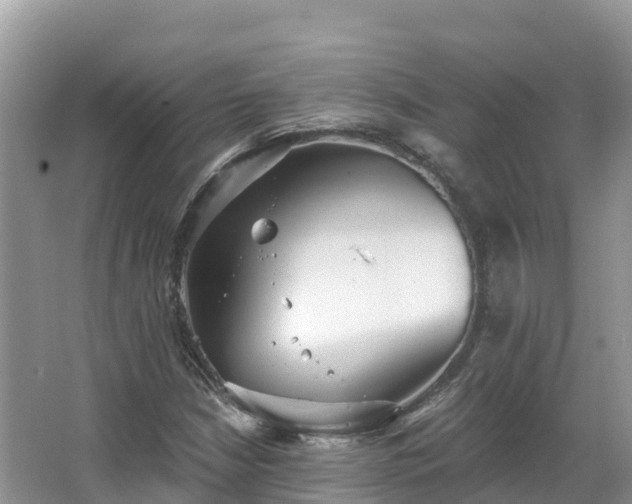 X0000066971210200603311440