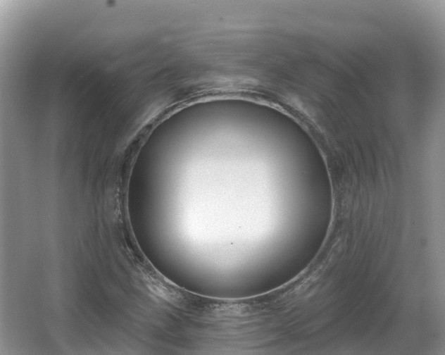 X0000066971211200603311440