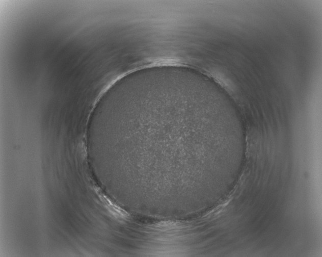 X0000066971212200603311440