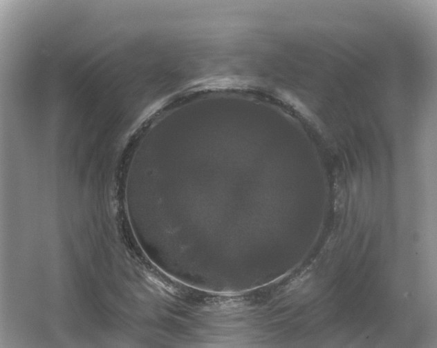 X0000066971213200603311440