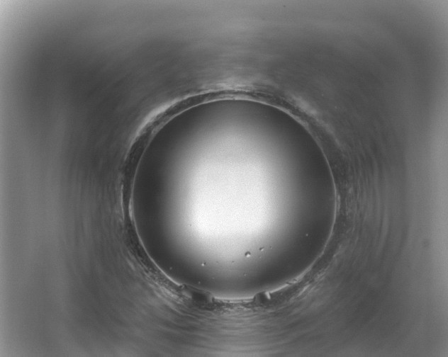 X0000066971214200603311440