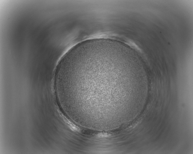 X0000066971216200603311440