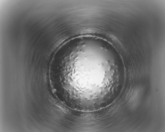 X0000066971217200603311440