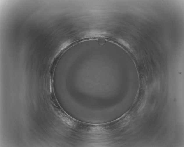 X0000066971219200603311440