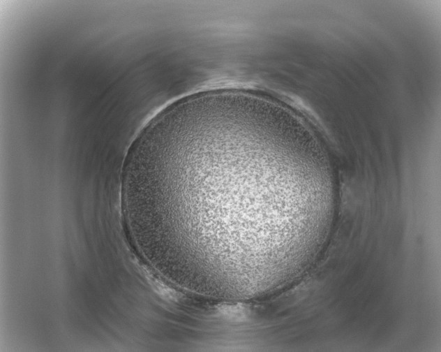 X0000066971220200603311440