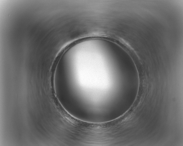 X0000066971222200603311440