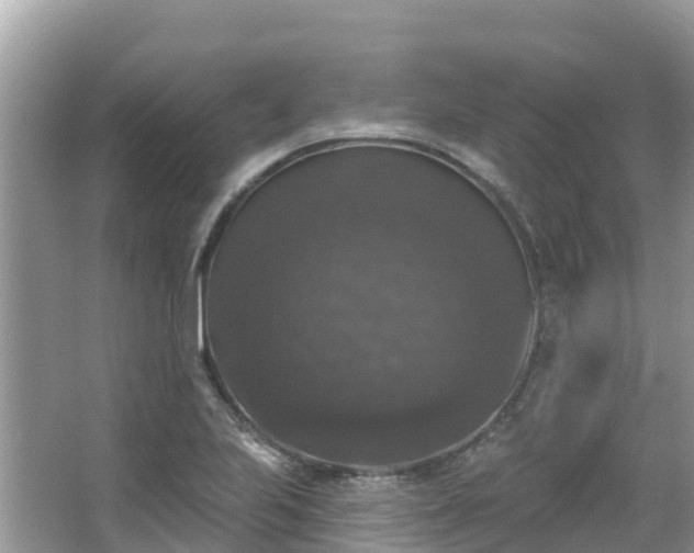 X0000066971223200603311440