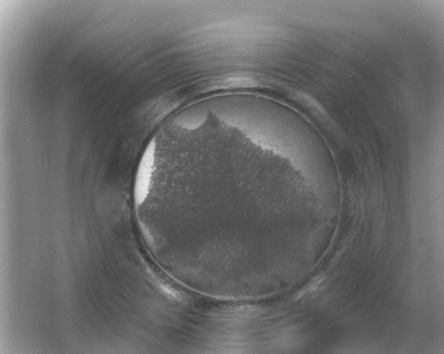 X0000066971225200603311440